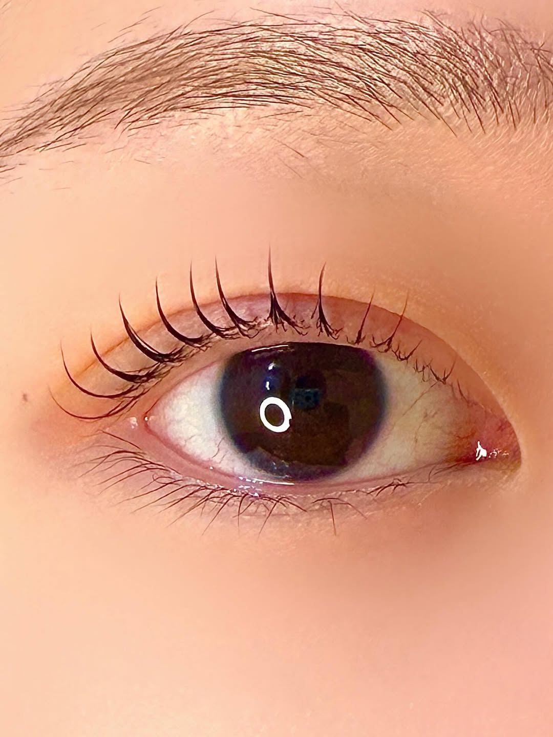 속눈썹 클로즈업